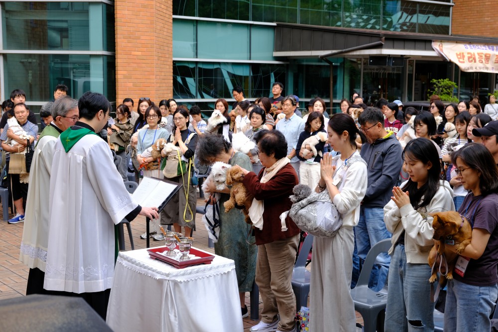 68bcbb9f77ff5b392da19b9b4c6a0985_1791366474_3942.jpg